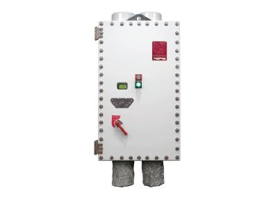 Crouse-Hinds ACE10 Explosionproof Variable Frequency Drives